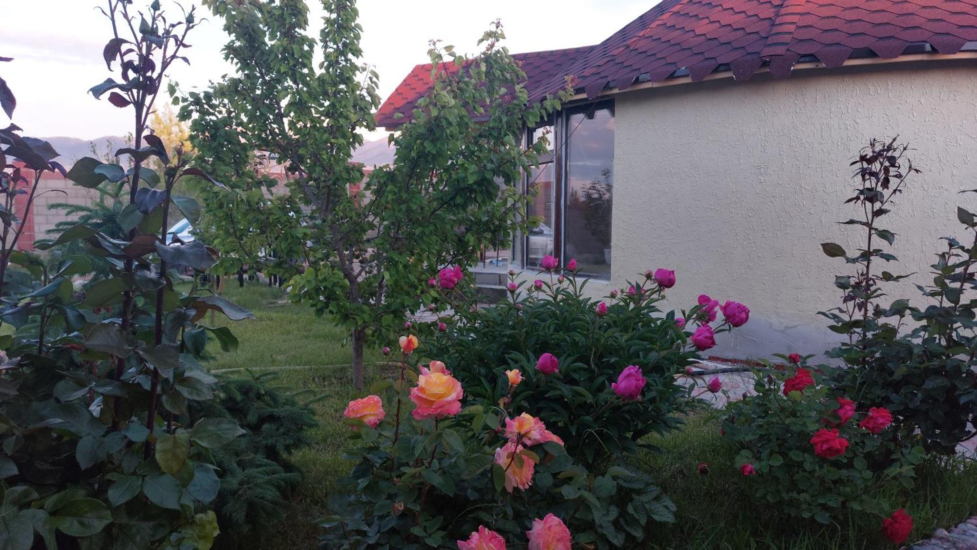 Svetlana Guest House Bokonbayevo Exterior photo