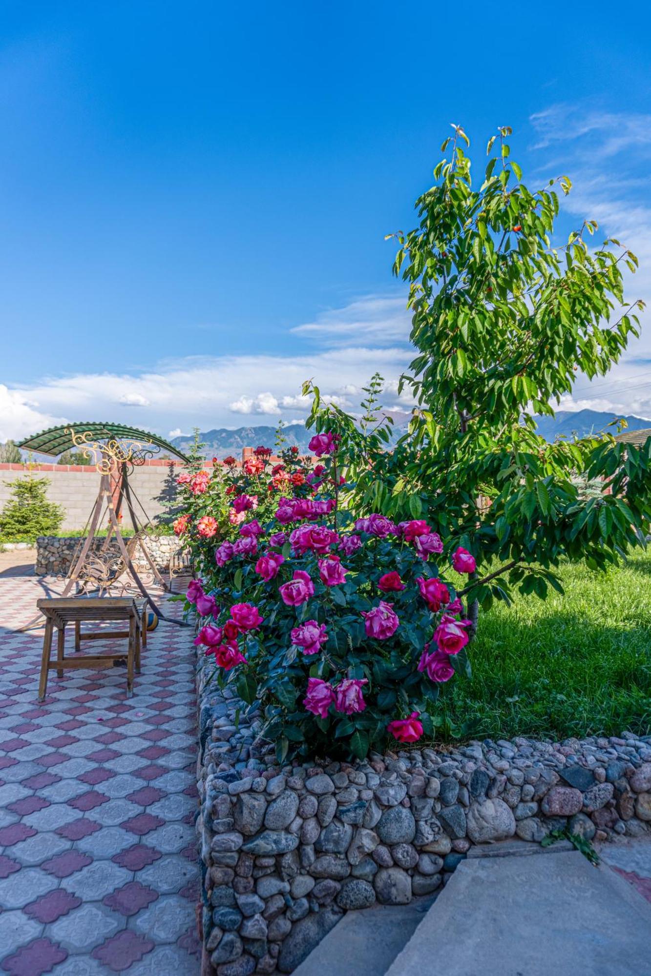 Svetlana Guest House Bokonbayevo Exterior photo