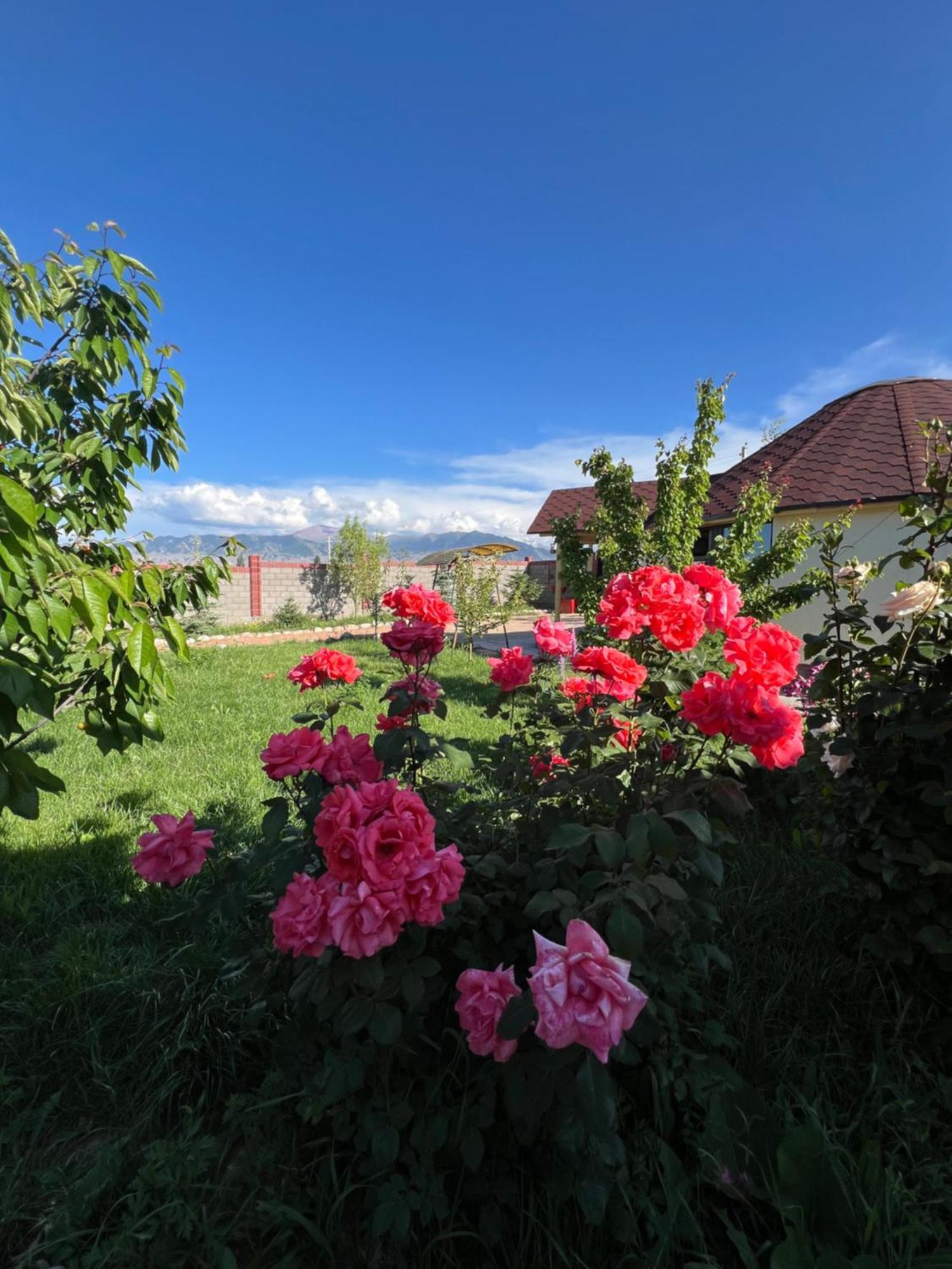 Svetlana Guest House Bokonbayevo Exterior photo